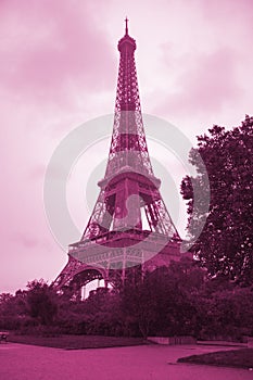 Eiffel Tower in Pink. Paris Top Destinations in Europe. Eiffel Tower in Spring Time in Paris, France