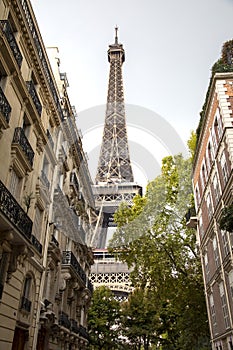 The Eiffel tower seen from the avenue de la Bourdonnais