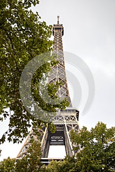 The Eiffel tower seen through the trees