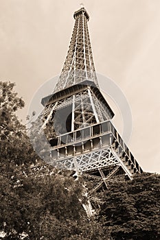 Eiffel Tower SEPIA