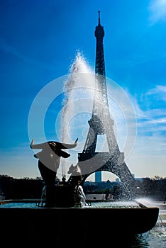 Eiffel Tower silhouette and the rooftops of Paris & x28;Paris,France& x29;