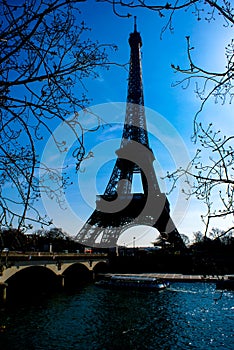 Eiffel Tower silhouette and the rooftops of Paris (Paris,France)