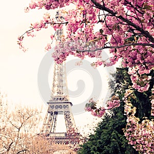 Eiffel Tower in Spring