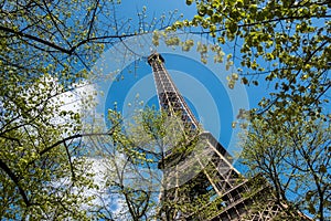 Eiffel Tower at spring morning