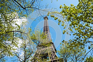 Eiffel Tower at spring morning
