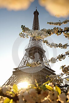 Eiffel Tower in spring, Paris, France