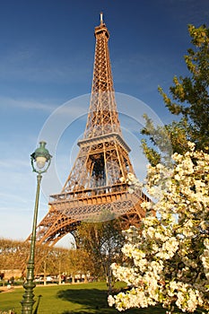 Eiffel Tower in spring, Paris, France