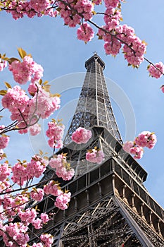 Eiffel Tower in spring, Paris, France