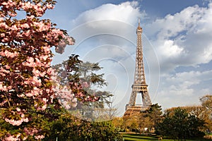 Eiffel Tower in spring time, Paris