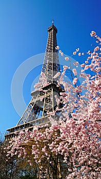 Eiffel Tower in spring time, Paris, France.