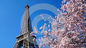 Eiffel Tower in spring time, Paris