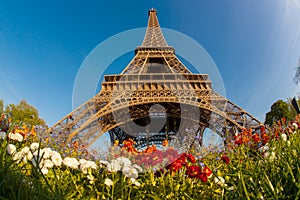 Eiffel Tower in spring time, Paris, France