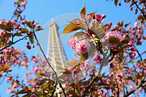 Eiffel Tower in spring time, Paris