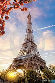 Eiffel Tower during spring time in Paris, France