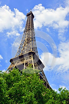 Eiffel Tower in summer over trees