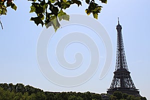 Eiffel tower in a sunny day photo
