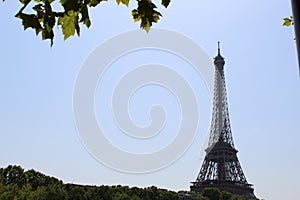 Eiffel tower in a sunny day photo