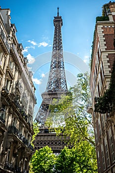 Eiffel tower, symbol of Paris
