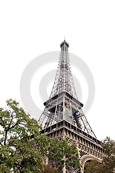 Eiffel tower through the trees, Paris France