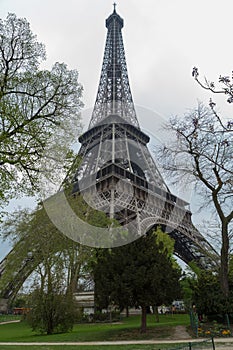 Eiffel Tower Through Trees with Path