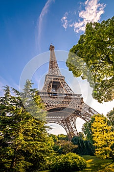 Eiffel tower among the trees in summer time. photo