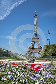 Eiffel Tower view from Champ de Mars