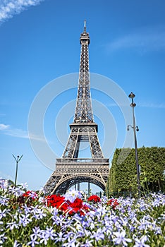 Eiffel Tower view from Champ de Mars