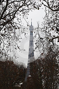 The Eiffel tower, view from Champ de Mars, Paris