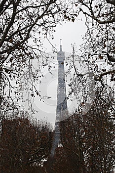 The Eiffel tower, view from Champ de Mars, Paris