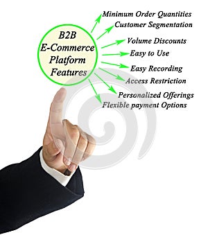 B2B E-Commerce Platform Features