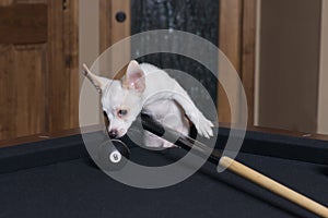 Eight ball in the corner