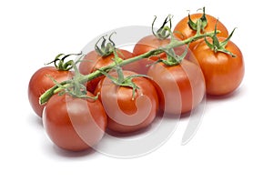 Eight Cherry Tomatoes on a white background