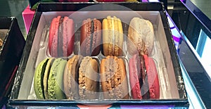 Eight Colorful Macaroons