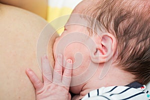 Eight days old newborn baby girl during breastfeeding
