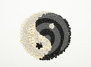 Eight Diagrams on white background