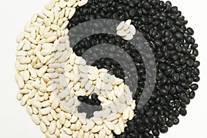 Eight Diagrams on white background