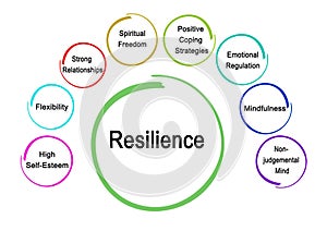Eight drivers of Resilience