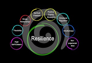 Eight drivers of Resilience