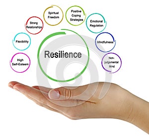 Eight drivers of Resilience