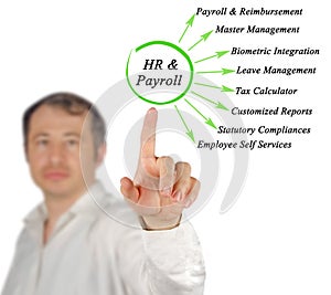 functions of human resource management