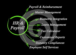 Functions of human resource management