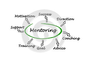 Eight functions of mentoring