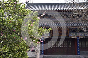 Eight immortals Palace (Eight Immortals nunnery)