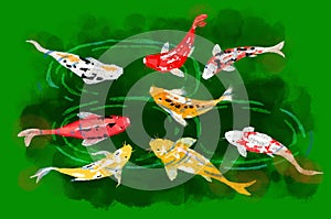 Eight Koi fish, considered lucky, art photo