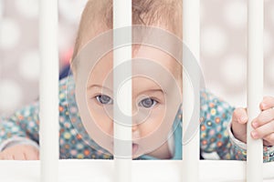 Eight months old baby girl in her bed