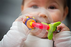 Eight months old baby girl sucking her toy