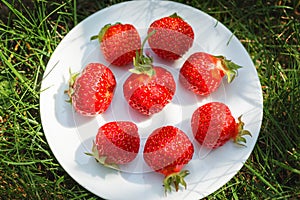Eight red strawberry on the white plate. Photo taken on top