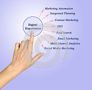 Types of Digital Experiences