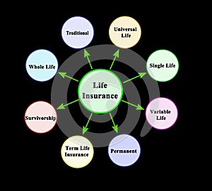 types of life insurance photo