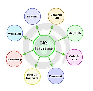 types of life insurance photo